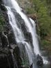 mckenzie waterfall